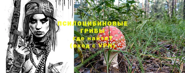 ПСИЛОЦИБИНОВЫЕ ГРИБЫ Алзамай